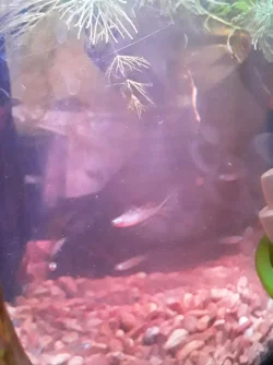 20210305_032856.webp