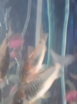 20210321_040734.webp