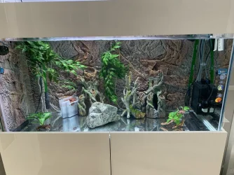 my tank.webp
