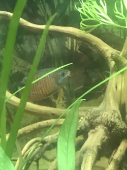 C9045C12-AC38-46D9-8A93-8F6F0DD8CCE7.webp