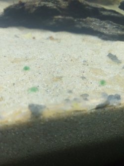 20210327_105250.jpg