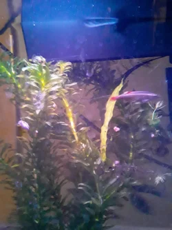 20210211_160147.webp