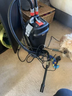 9F9D2AAE-3652-43EB-9325-8EE8DE68E995.webp