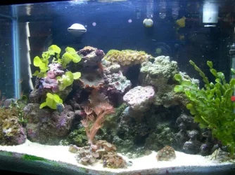 5_5_nano_1.webp