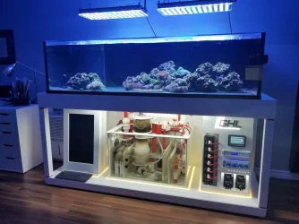 Best_Reef_Aquarium_LED_lighting.webp