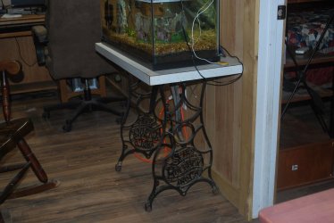 Betta Max's aquarium stand 20L 4-9-21.jpg Betta Max's aquarium stand 20L 4-9-21.jpg
