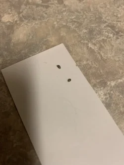 0F149AA2-2884-4A02-B69D-307C2D3A90DA.webp