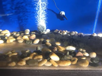 IMG_3933.webp