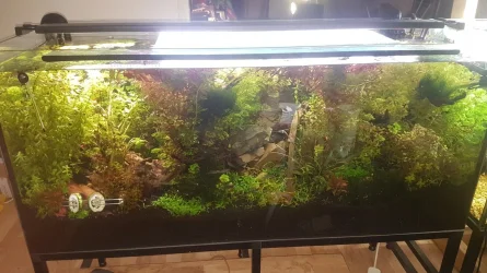 20210421_171930.webp