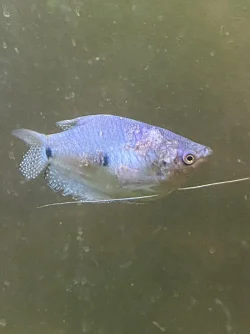BA8F2C14-FD16-48E8-B584-9EBAEEBFD2C8.webp