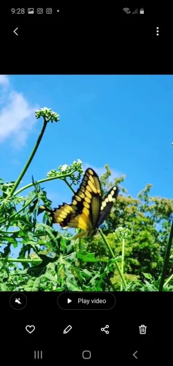 Screenshot_20210329-092820_Gallery.webp