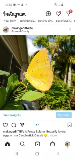 Screenshot_20210325-105316_Instagram.webp