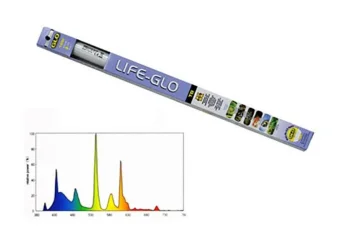 Life-Glo T8.webp