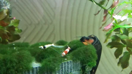 20150427_130021.webp