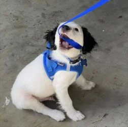 C084064C-6E6F-4B0E-89FD-DDA0EB025993.webp