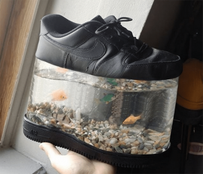 Fish shoe.png