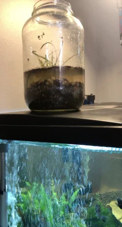 jar 2.webp