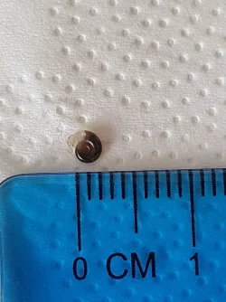 snail 19.05.21.webp