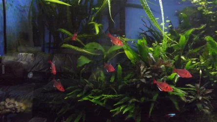 DSCF5002.webp