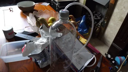 DSCF5009.webp