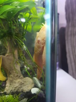 WhatsApp Image 2021-05-31 at 11.21.20 (2).jpeg