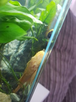 WhatsApp Image 2021-05-31 at 11.21.20.jpeg