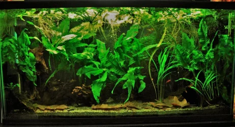 33g April 28-16.webp