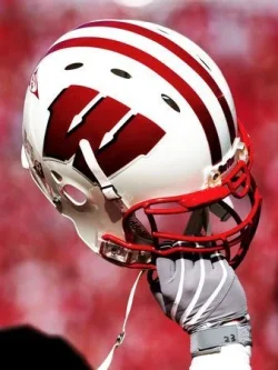 Badgers.webp
