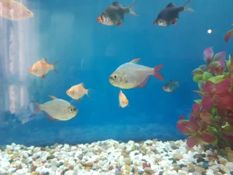20210519_150447.webp