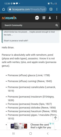 Screenshot_20210626-123823_Chrome.webp
