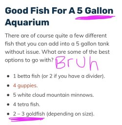 66BF29B8-19C2-47C8-B5B8-E7E7DF8966F8.jpeg