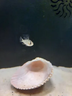 20210711_191129.webp