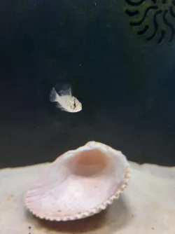 20210711_191128.webp