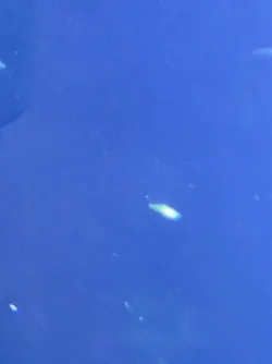 16266010141734712811244758896092.webp