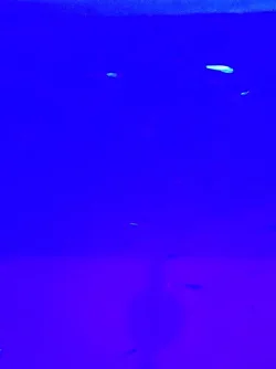 1626601272532123534309893054474.webp