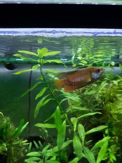 20210722_192102.webp