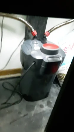 aquarium filter.webp