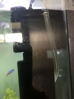 23593294-8265-4D6F-8A0E-6688B802E2C4.webp