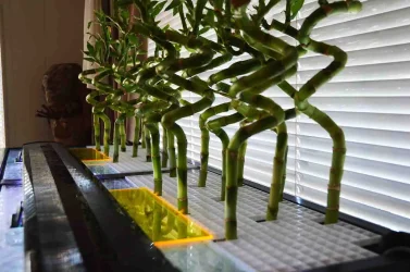 bamboo grid top close 7572.webp