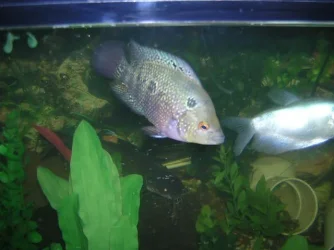 DSCN1572.webp