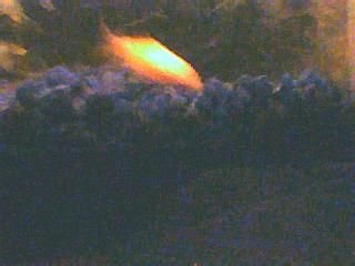 Picture_020_1_