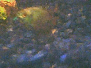 Picture_028_1_
