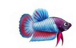 tattoo.webp