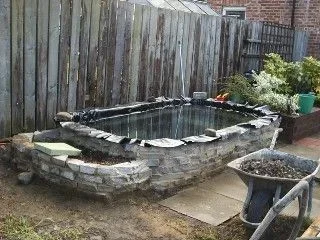 water_1.webp