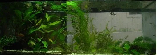 tank3_resize.webp