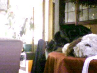 Picture_52.jpg