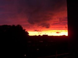 skypic2.jpg