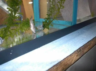 IM000550.webp