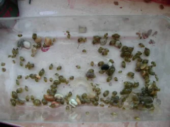 DSCN2283.webp