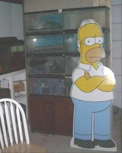 fishroom_007.webp